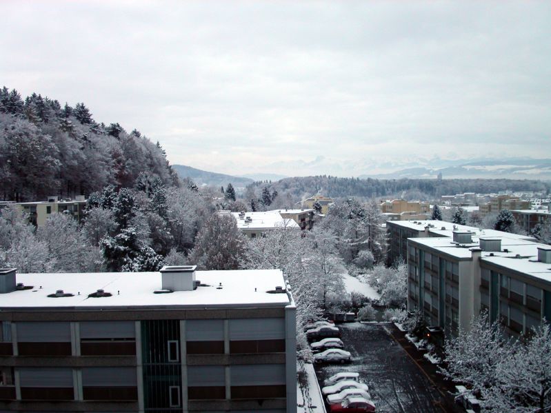 Winter on L�ngfeldstrasse